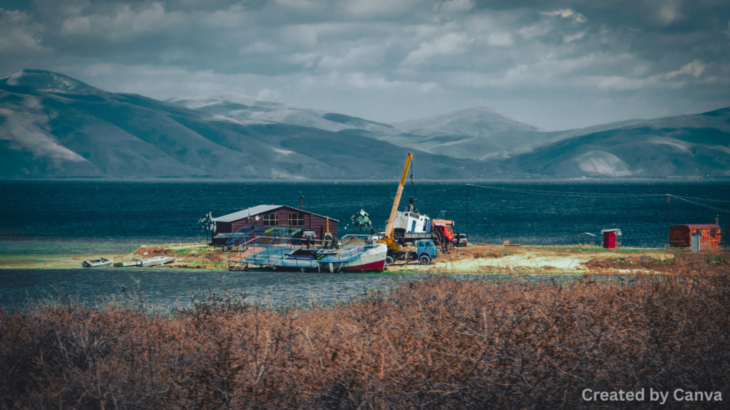 Look at the Different Types of Towing Options That Are Available